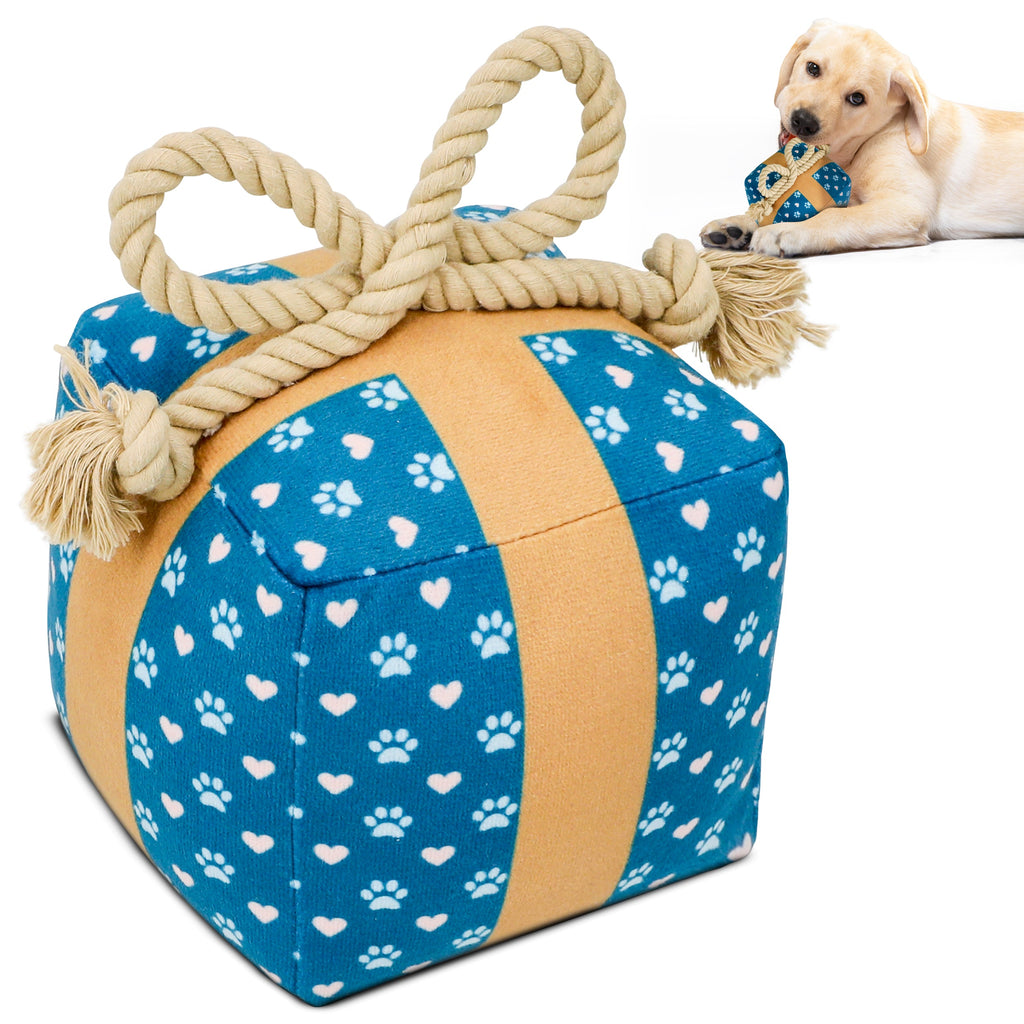 Cute Squeaky Birthday Dog Toy