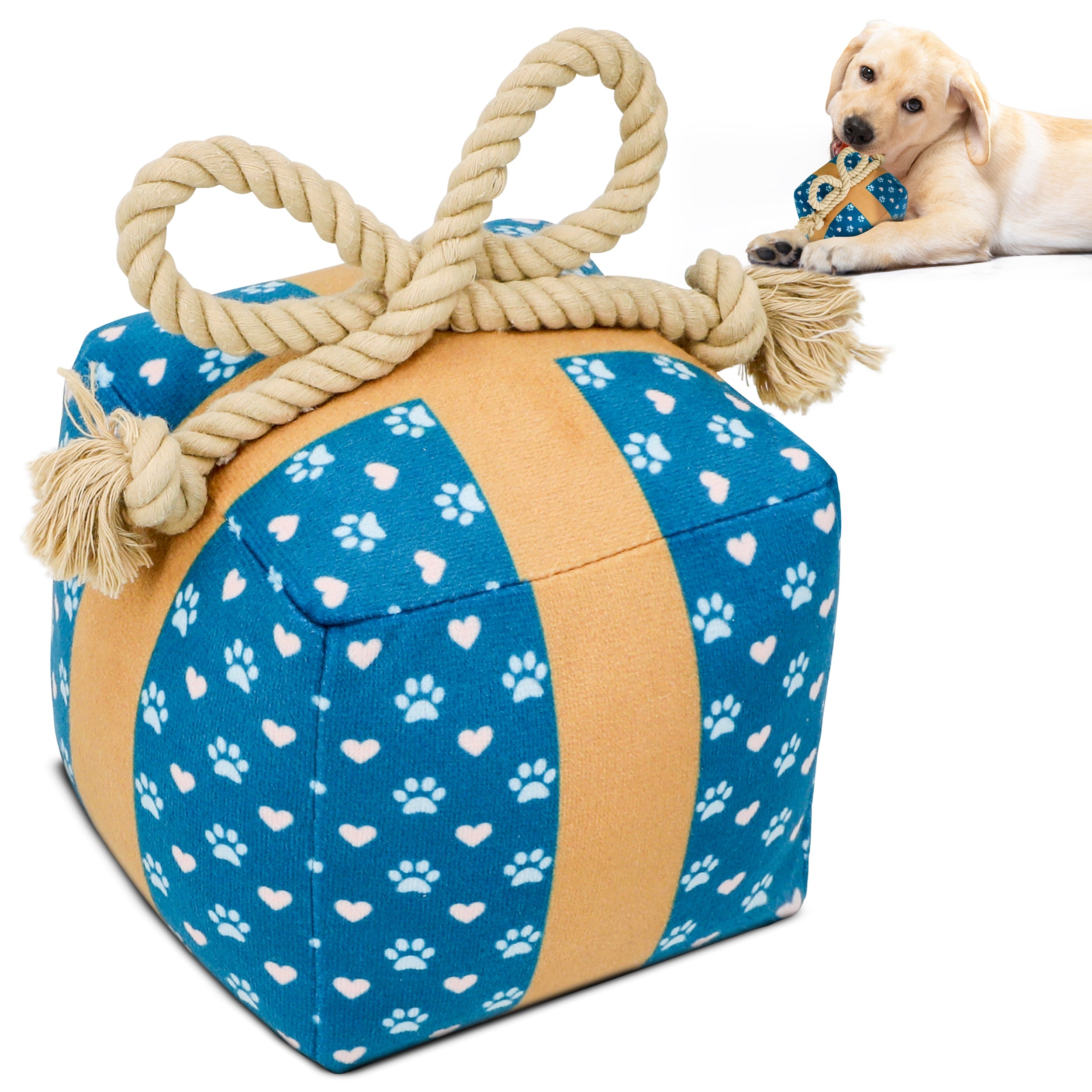 Cute Squeaky Birthday Dog Toy