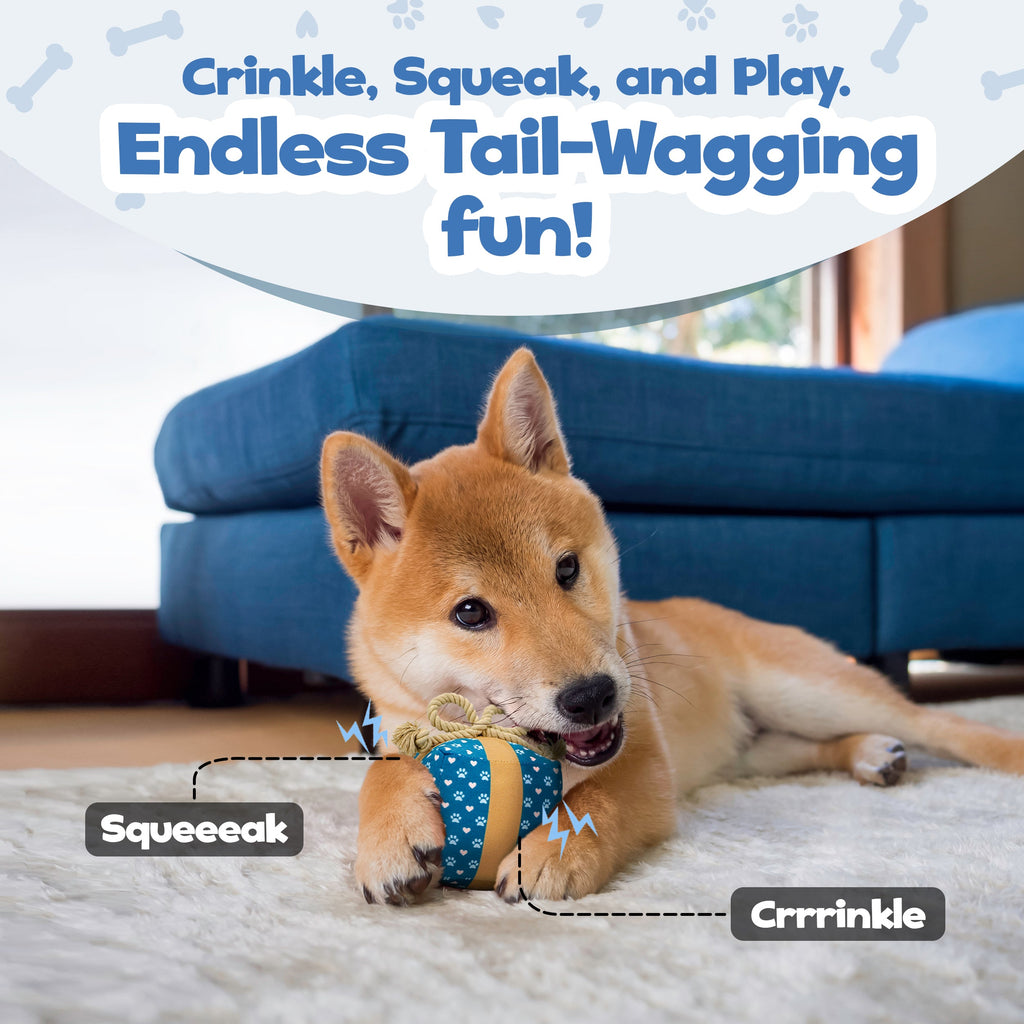 Cute Squeaky Birthday Dog Toy
