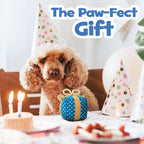 Cute Squeaky Birthday Dog Toy