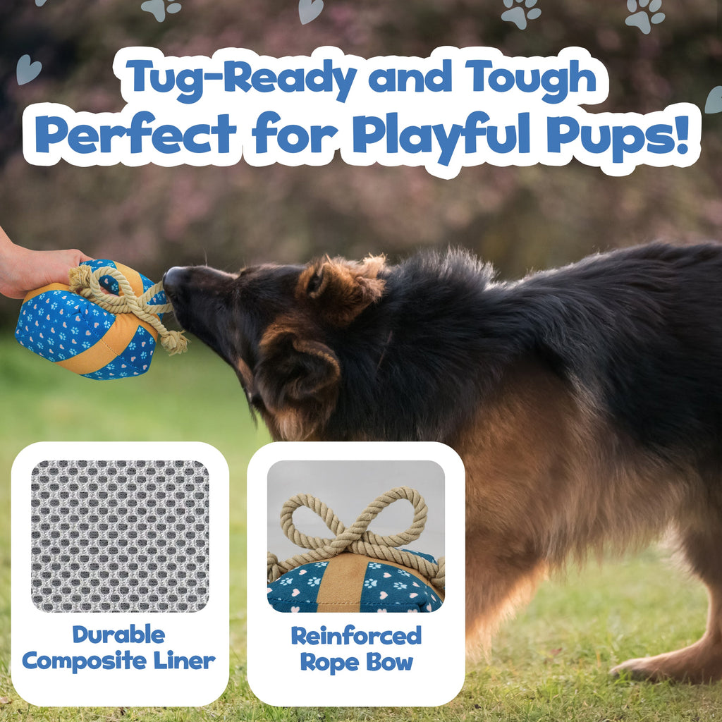 Cute Squeaky Birthday Dog Toy