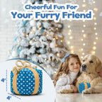 Cute Squeaky Birthday Dog Toy