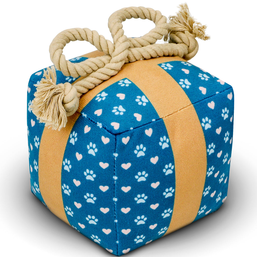 Cute Squeaky Birthday Dog Toy