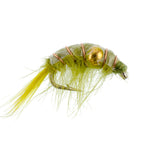 Olive Beaded Shrimp Scud Pattern