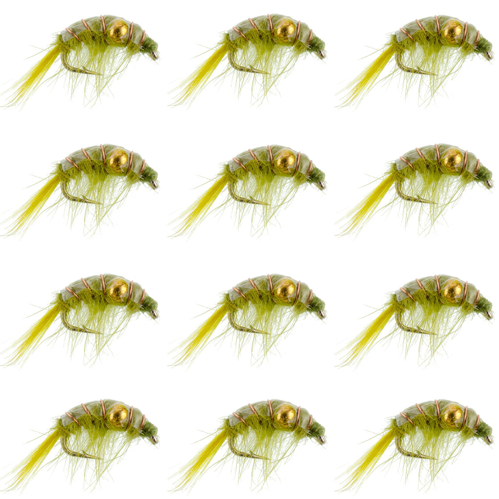 Olive Beaded Shrimp Scud Pattern
