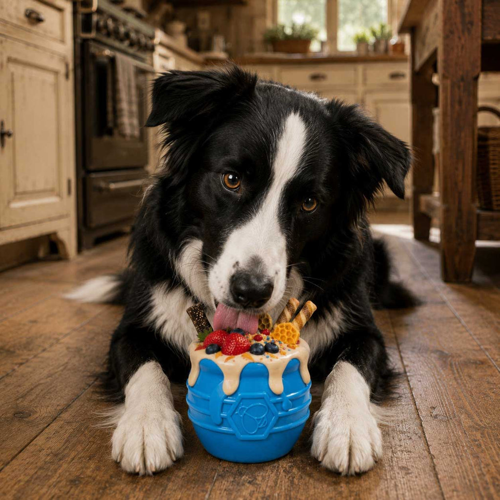 Treat Dispenser USA Made