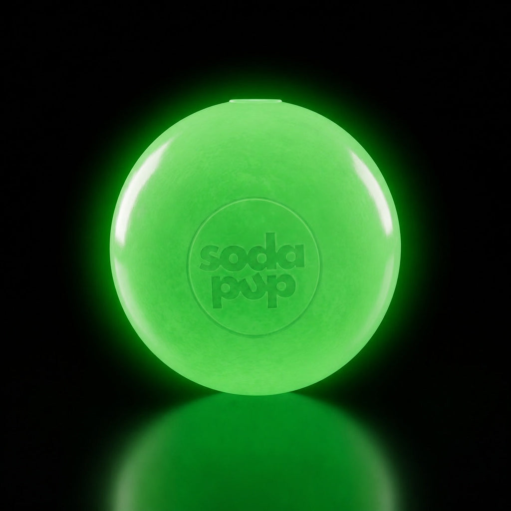 Squeak Ball - Durable Squeaky Dog Toy