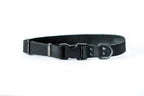Sport Style Leather Dog Collar
