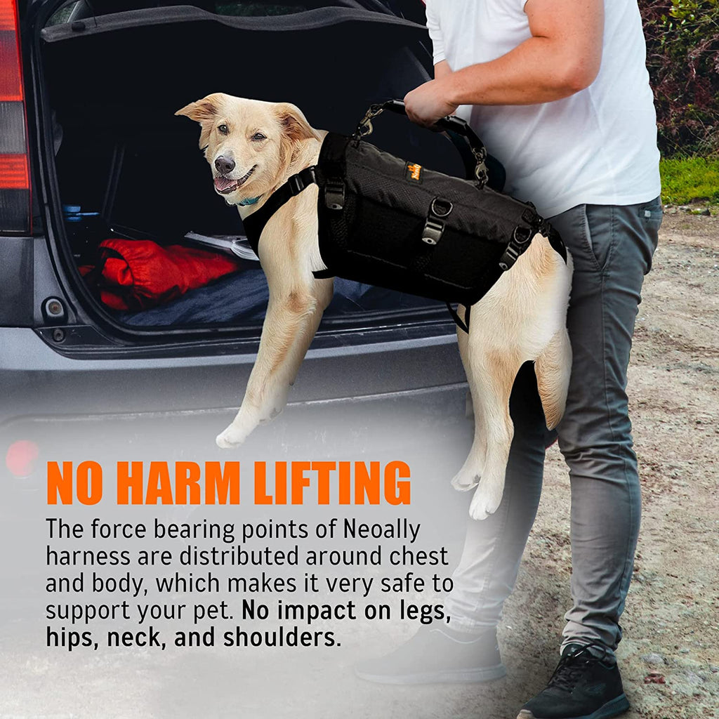 [LIFETIME WARRANTY!]  Dog Lift Harness
