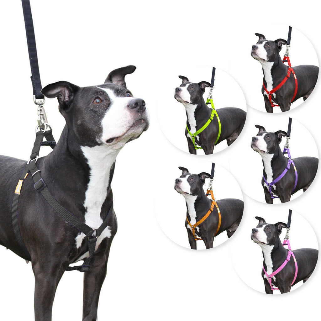 Step in Dog Harness