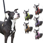 Step in Dog Harness