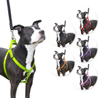Step in Dog Harness