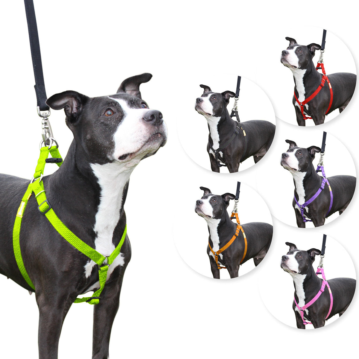 Step in Dog Harness