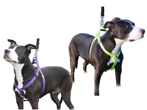 Step in Dog Harness