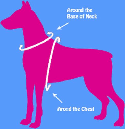 Step in Dog Harness