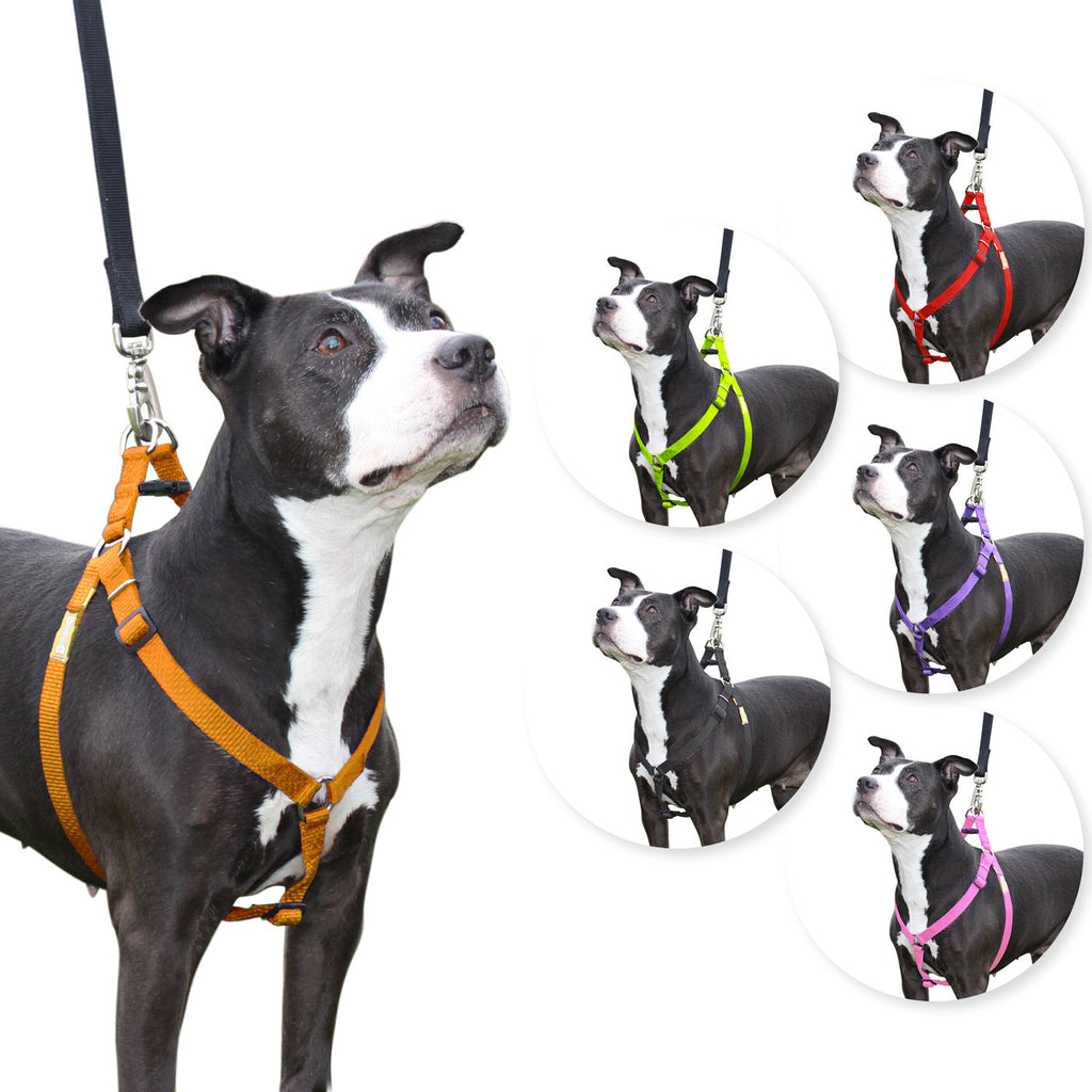 Step in Dog Harness
