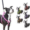 Step in Dog Harness