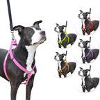 Step in Dog Harness