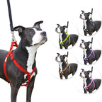 Step in Dog Harness