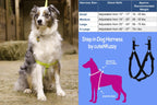 Step in Dog Harness