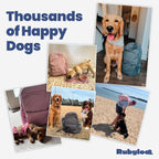 The Original Doggy Bag™ Backpack