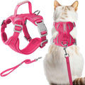 Escape-Proof Cat Harness & Leash