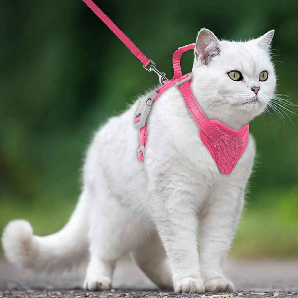 Escape-Proof Cat Harness & Leash