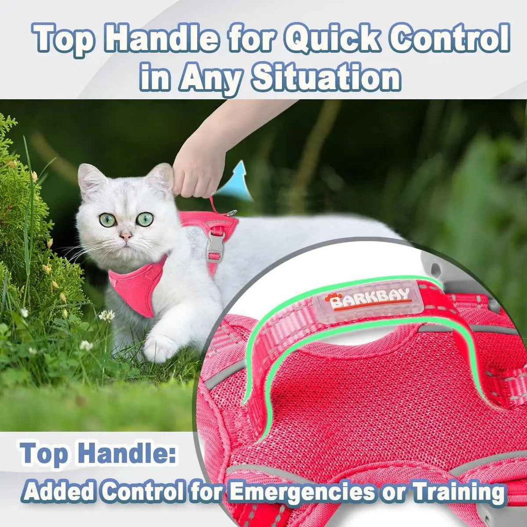Escape-Proof Cat Harness & Leash