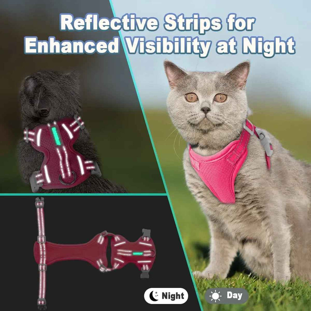 Escape-Proof Cat Harness & Leash