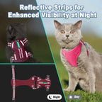 Escape-Proof Cat Harness & Leash