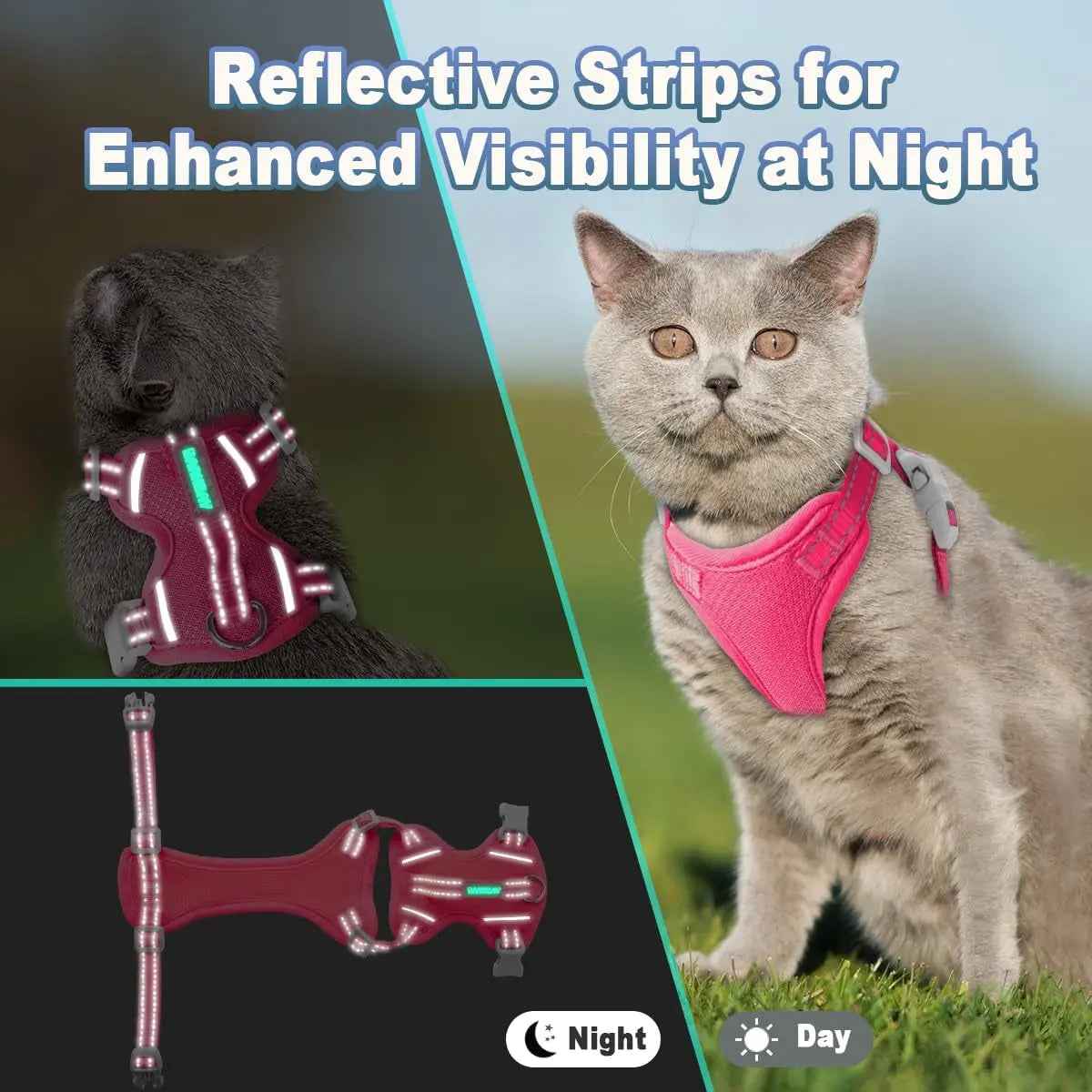 Escape-Proof Cat Harness & Leash