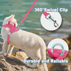 Escape-Proof Cat Harness & Leash