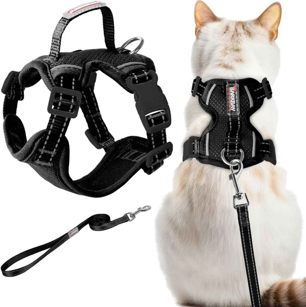 Escape-Proof Cat Harness & Leash