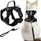 Escape-Proof Cat Harness & Leash