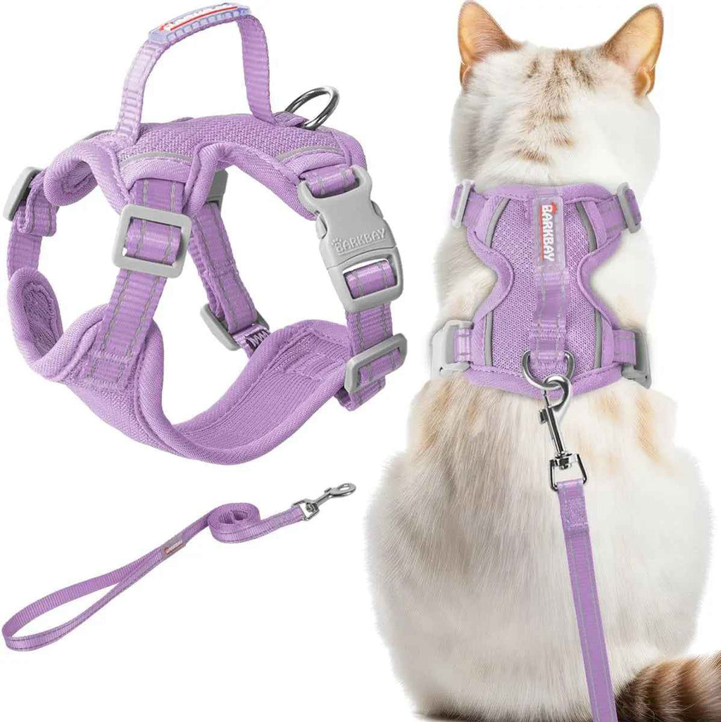 Escape-Proof Cat Harness & Leash