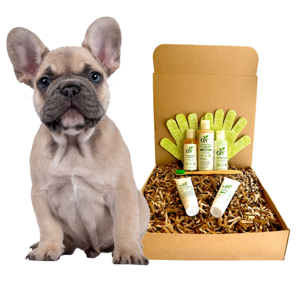 4-FURRY DOGS *REGULAR GROOMING KIT