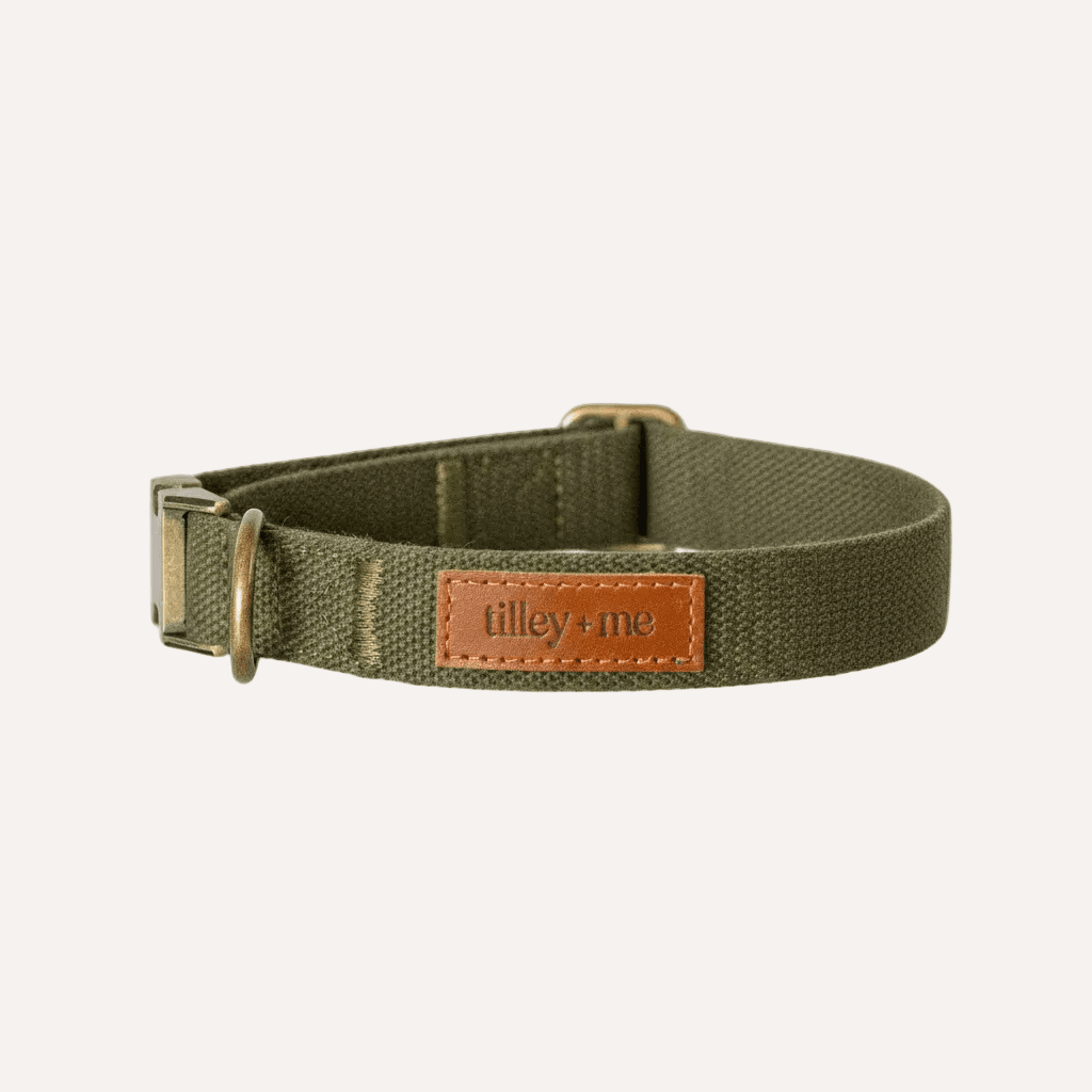 Tilley + Me Hemp Cotton Dog Collar