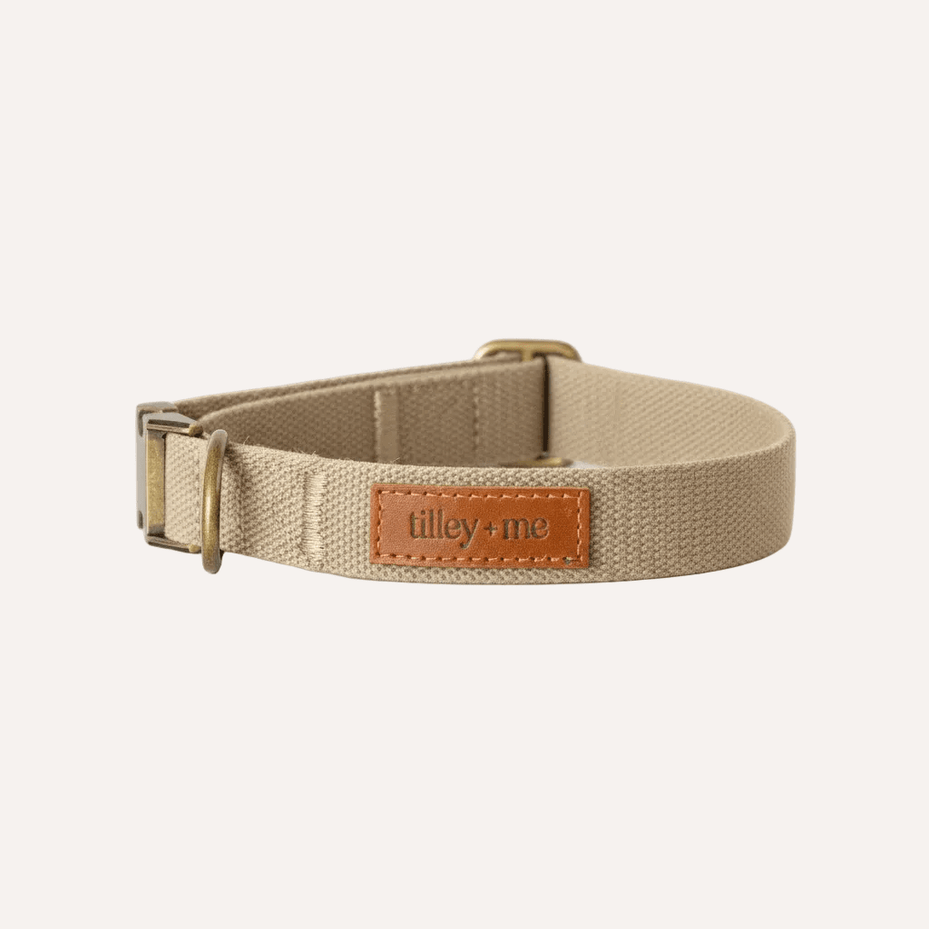 Tilley + Me Hemp Cotton Dog Collar