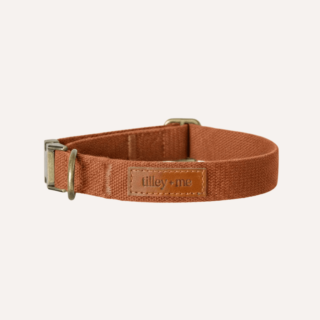 Tilley + Me Hemp Cotton Dog Collar
