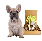 4-FURRY DOGS *REGULAR GROOMING KIT