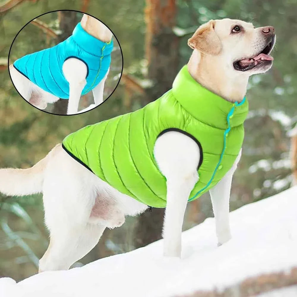 Vest Reversible Dogs Jacket