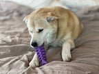 Fish Bone Nylon Dog Toy