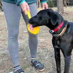 Interactive Lick Stick