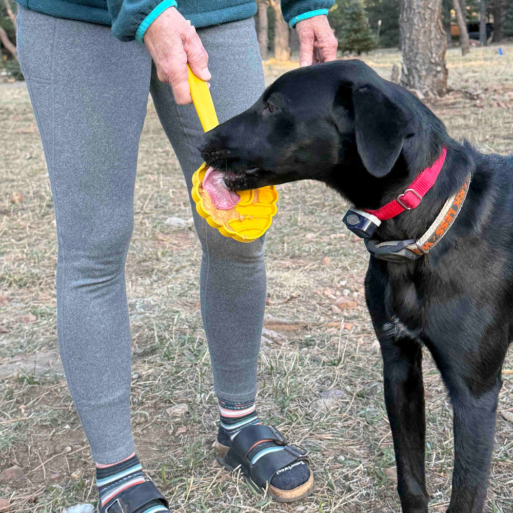 Interactive Lick Stick