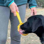 Interactive Lick Stick