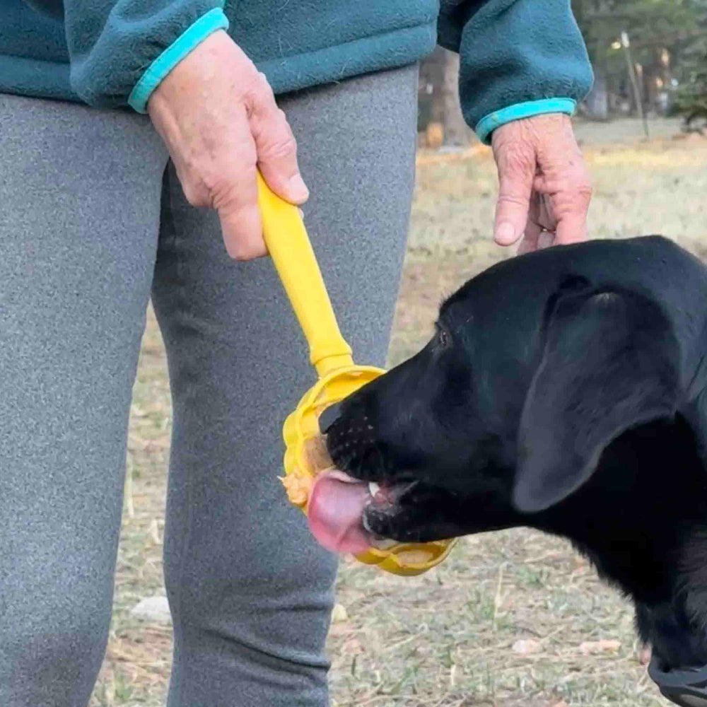 Interactive Lick Stick