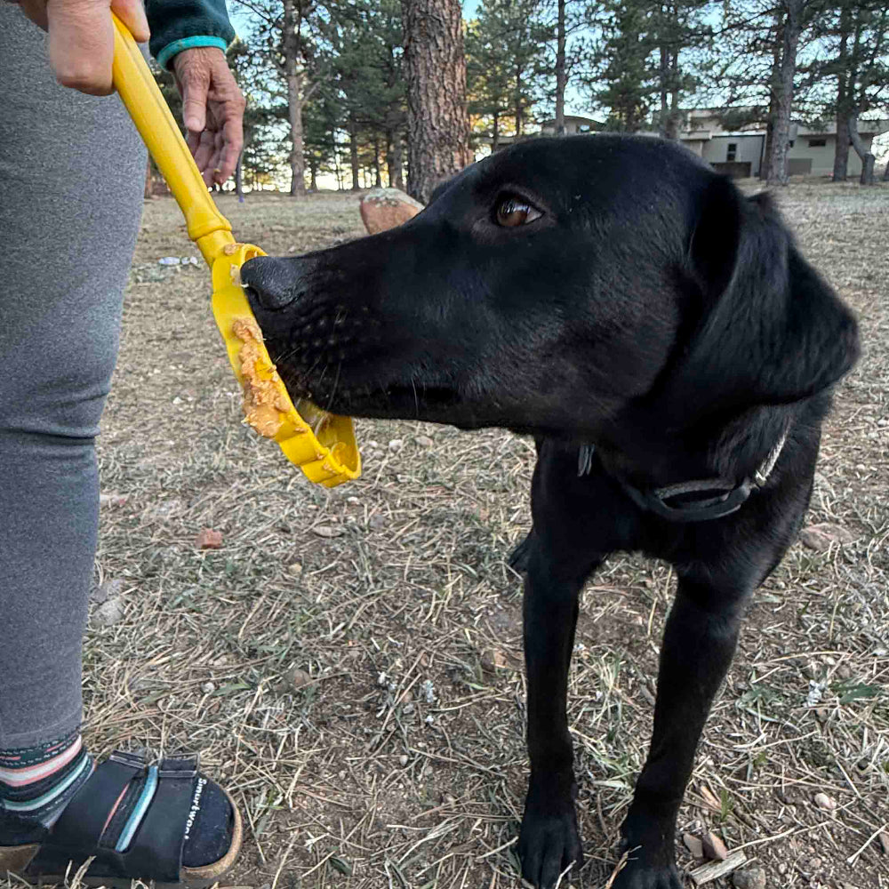 Interactive Lick Stick