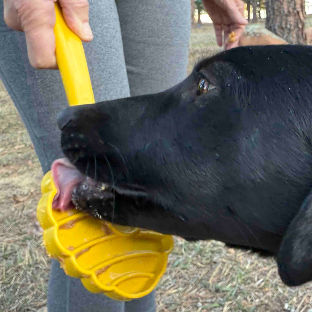 Interactive Lick Stick
