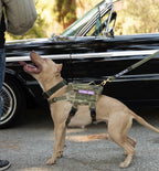 K9R - M4 Tactical MOLLE Vest