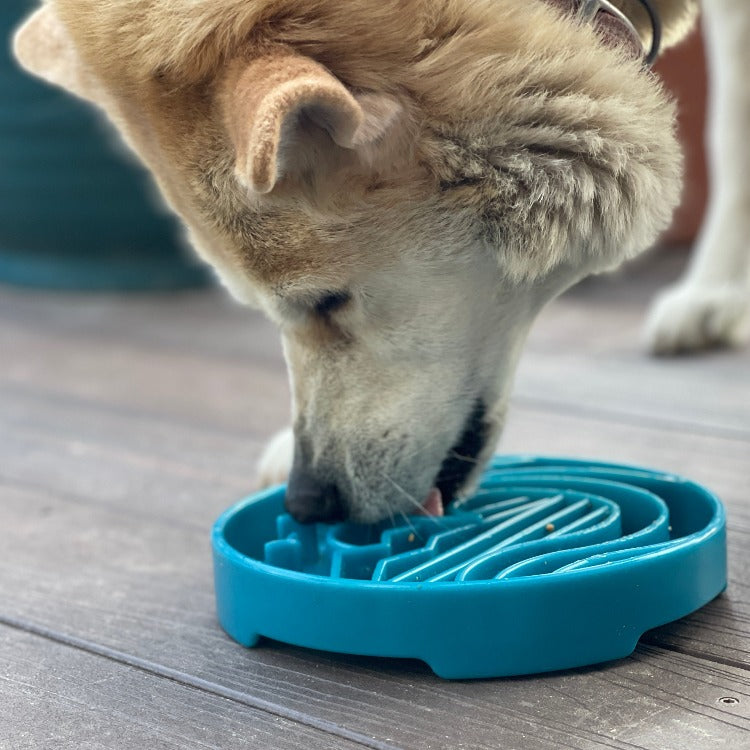 Baja Design eTray - Shallow Slow Feeder